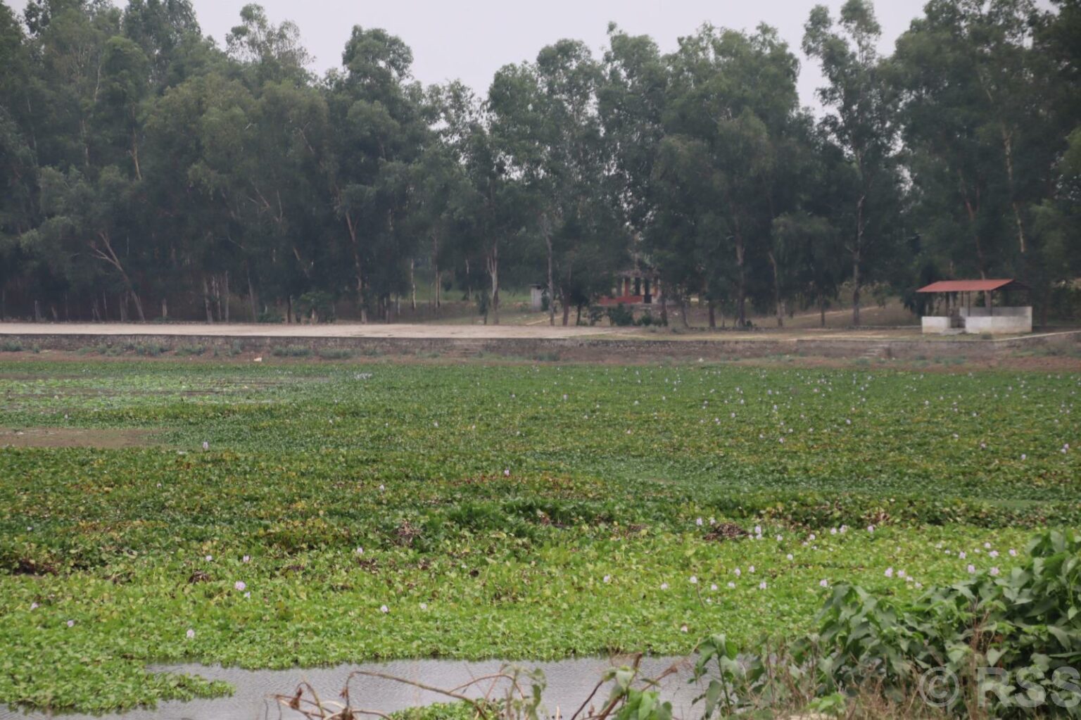 पाँच करोड लगानीमा बन्धातालमा पूर्वाधार निर्माण गरिँदै