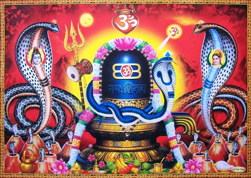 आज नागपञ्चमी पर्व