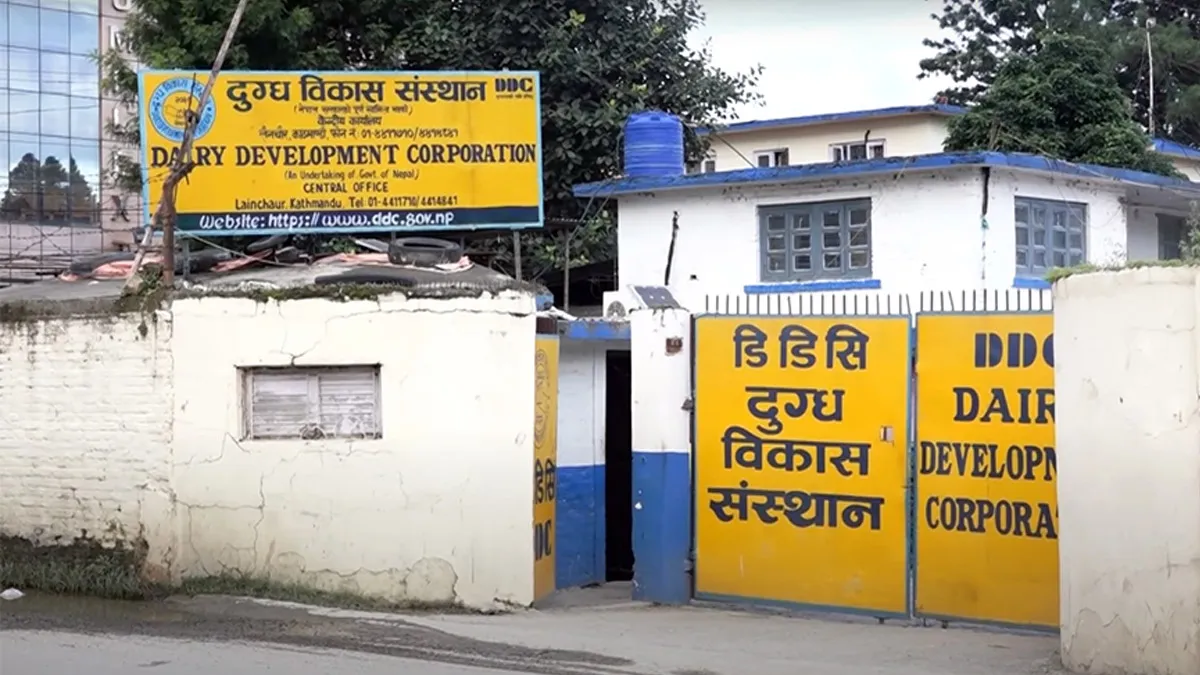 दैनिक ८५ हजार लिटर वृद्धि गरी एक लाख ५० हजार लिटर दूध सङ्कलन गर्ने डिडिसीको लक्ष्य